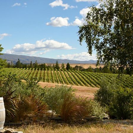 アレクサンドラ Grey Ridge Vineyard Experience Bed & Breakfast エクステリア 写真