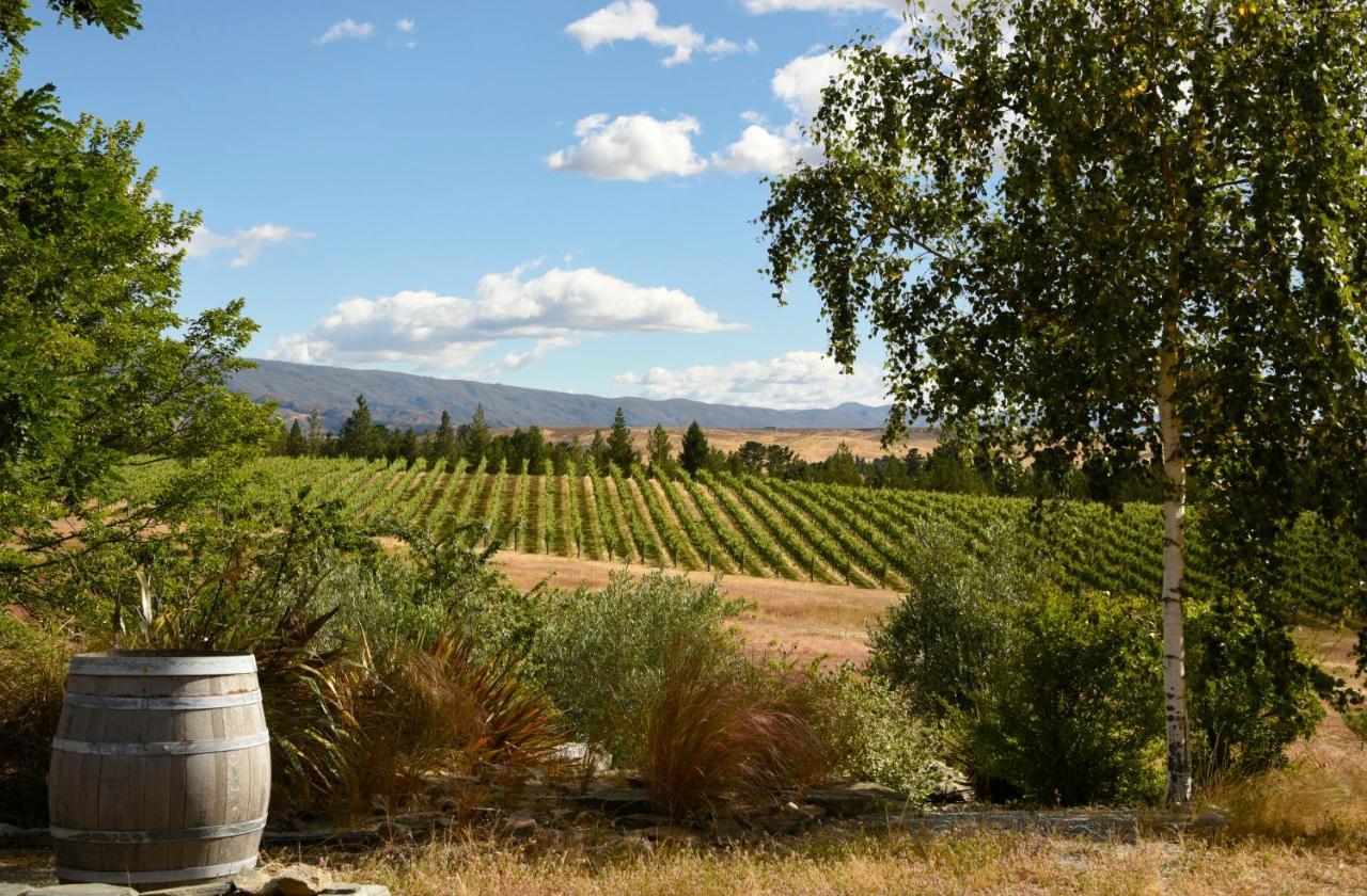 アレクサンドラ Grey Ridge Vineyard Experience Bed & Breakfast エクステリア 写真