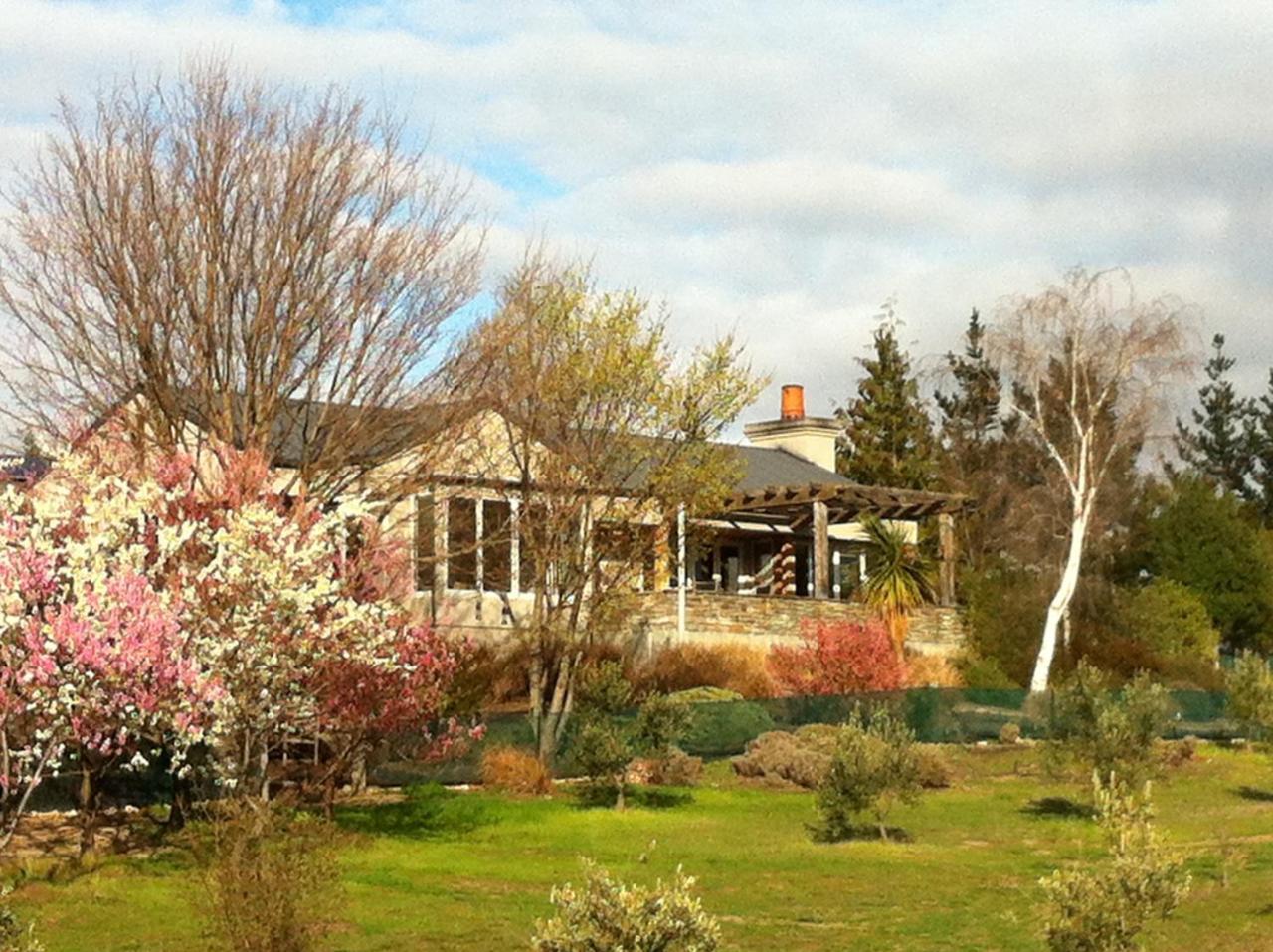 アレクサンドラ Grey Ridge Vineyard Experience Bed & Breakfast エクステリア 写真