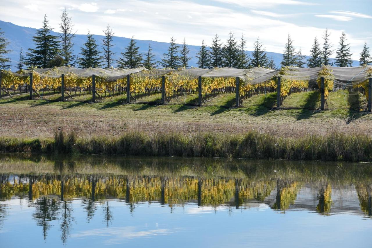 アレクサンドラ Grey Ridge Vineyard Experience Bed & Breakfast エクステリア 写真