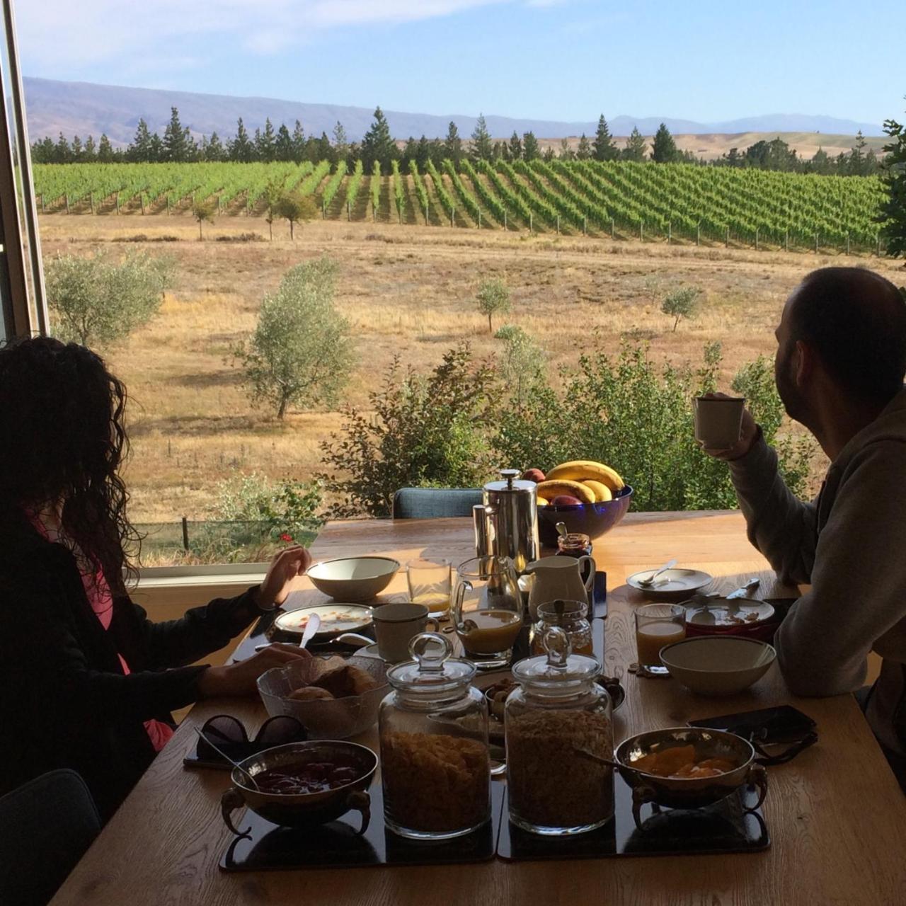 アレクサンドラ Grey Ridge Vineyard Experience Bed & Breakfast エクステリア 写真