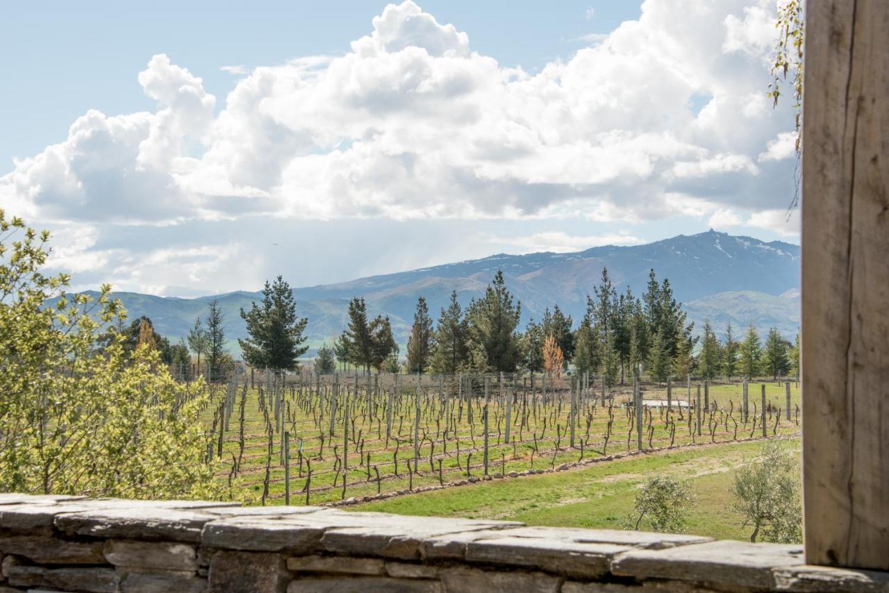 アレクサンドラ Grey Ridge Vineyard Experience Bed & Breakfast エクステリア 写真