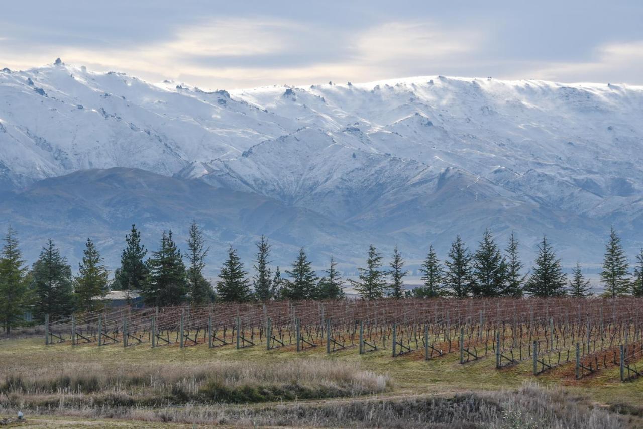 アレクサンドラ Grey Ridge Vineyard Experience Bed & Breakfast エクステリア 写真