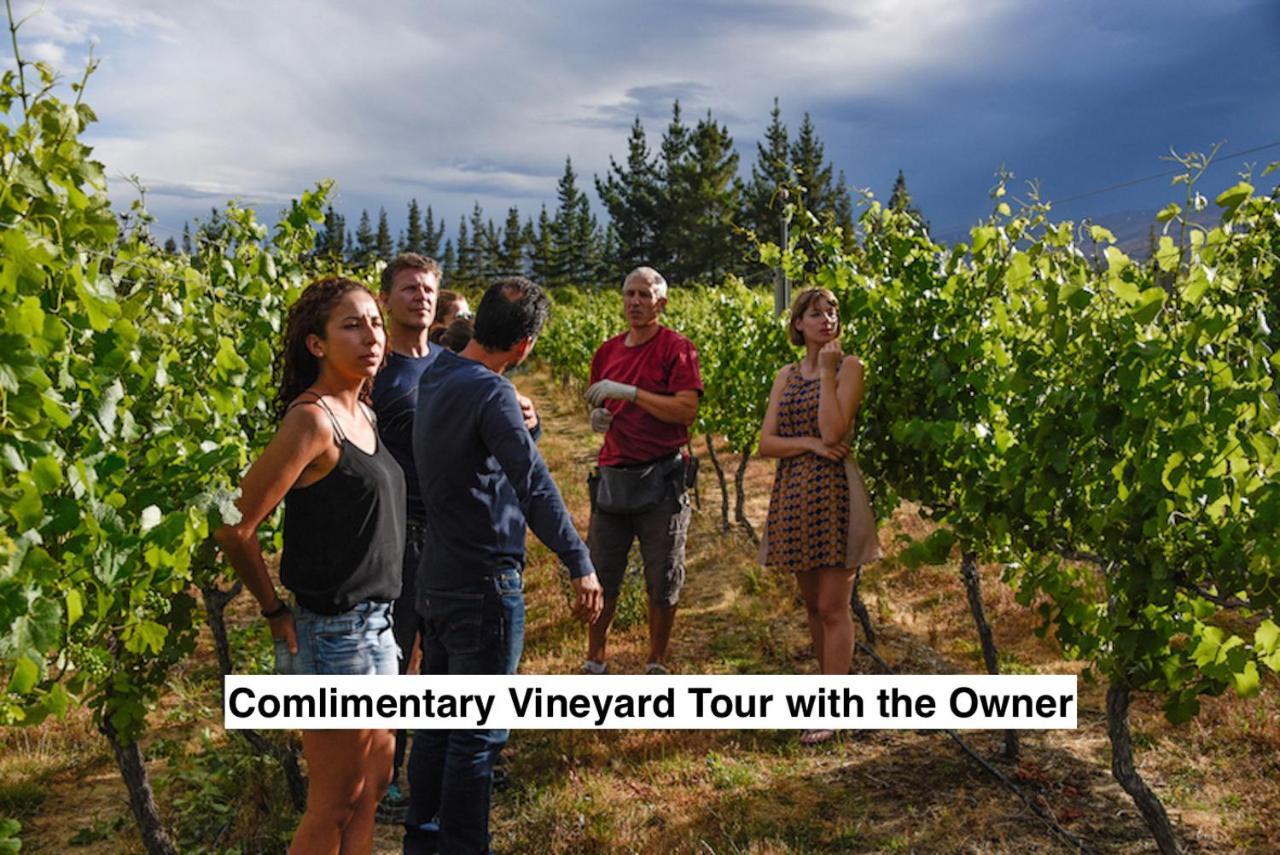 アレクサンドラ Grey Ridge Vineyard Experience Bed & Breakfast エクステリア 写真
