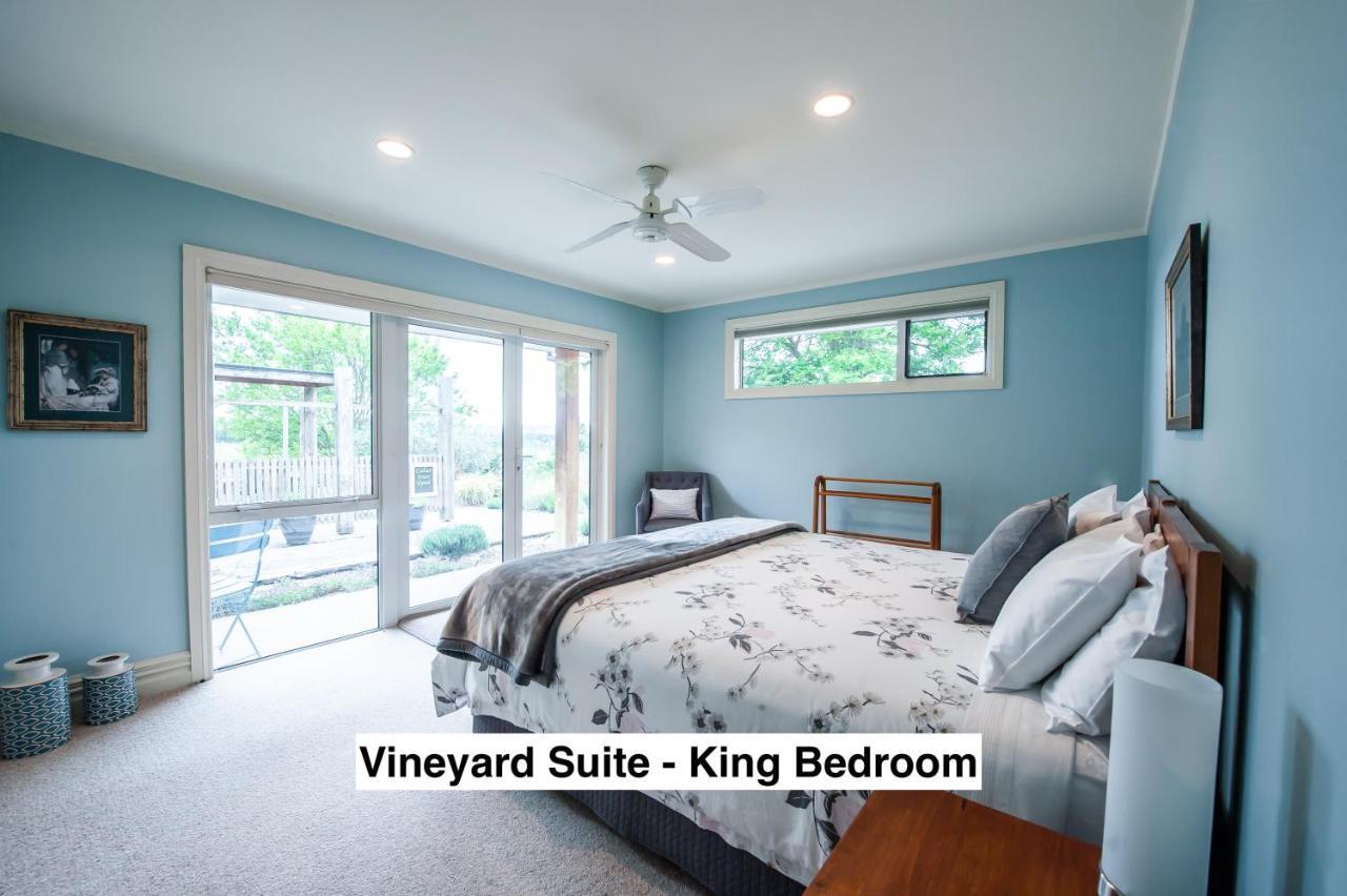 アレクサンドラ Grey Ridge Vineyard Experience Bed & Breakfast エクステリア 写真